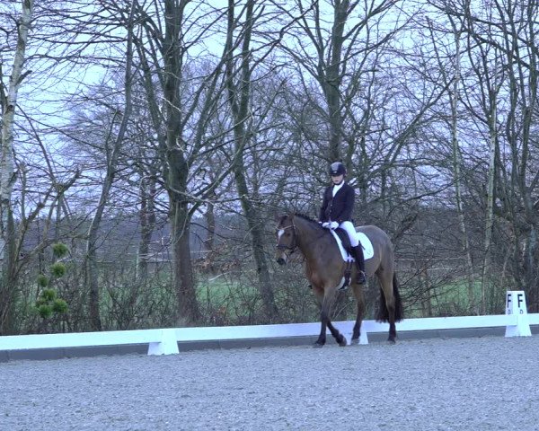 Reitturnier Elmlohe 2022