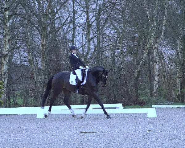 Reitturnier Elmlohe 2022