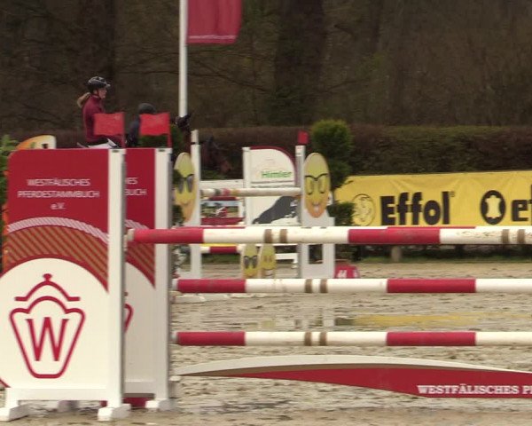 Reitturnier Münster-Handorf 2022