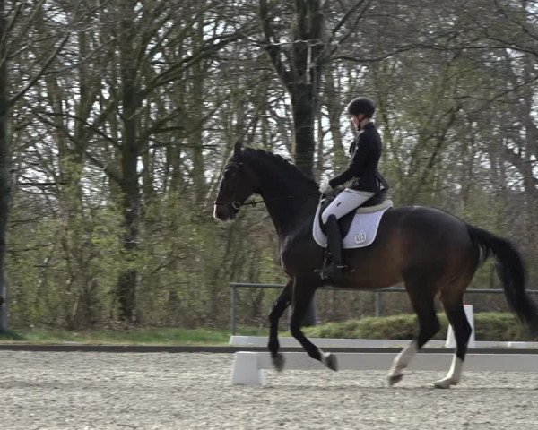 Reitturnier Elmlohe 2022