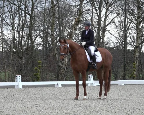 Reitturnier Elmlohe 2022
