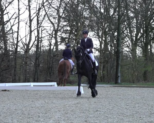 Reitturnier Elmlohe 2022