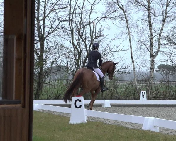 Reitturnier Elmlohe 2022