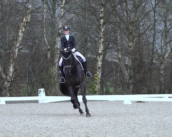 Reitturnier Elmlohe 2022