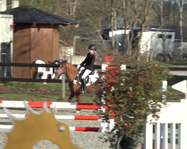 Reitturnier Elmlohe 2022