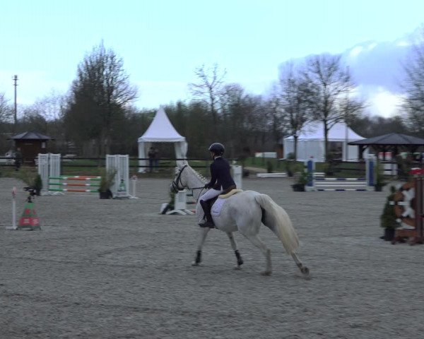 Reitturnier Elmlohe 2022