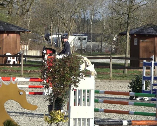 Reitturnier Elmlohe 2022