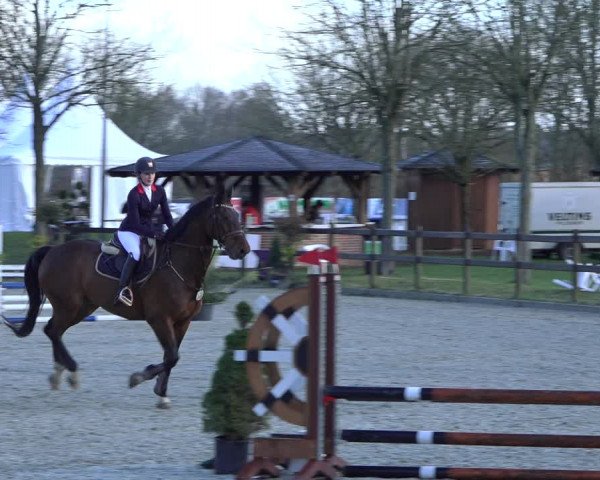 Reitturnier Elmlohe 2022