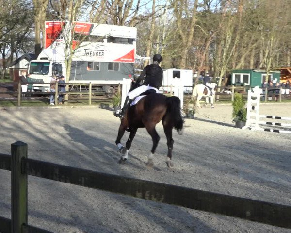 Reitturnier Elmlohe 2022