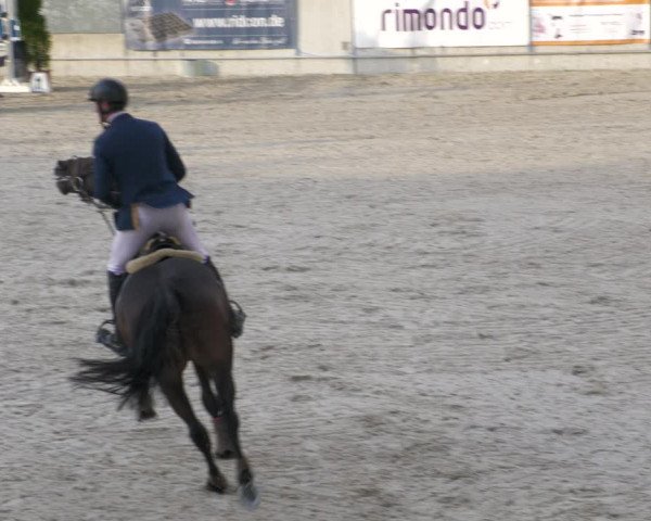 Reitturnier Aachen-Soers 2022