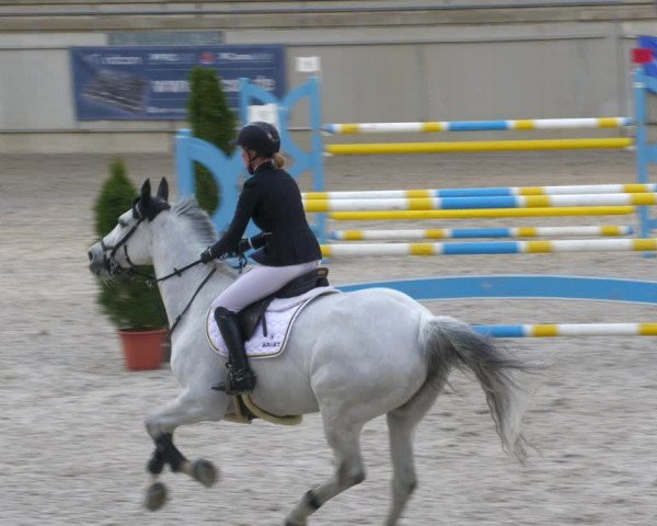 Reitturnier Aachen-Soers 2022