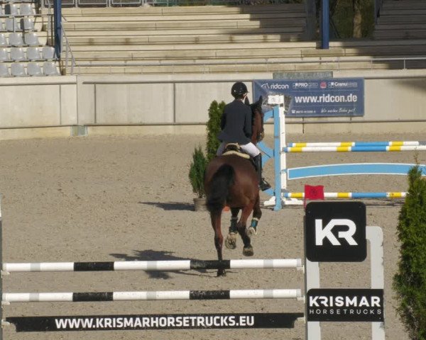 Reitturnier Aachen-Soers 2022