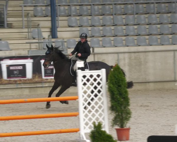 Reitturnier Aachen-Soers 2022