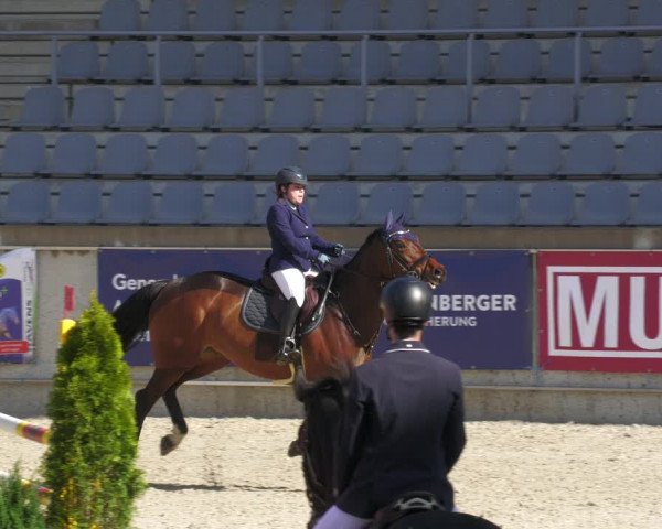 Reitturnier Aachen-Soers 2022