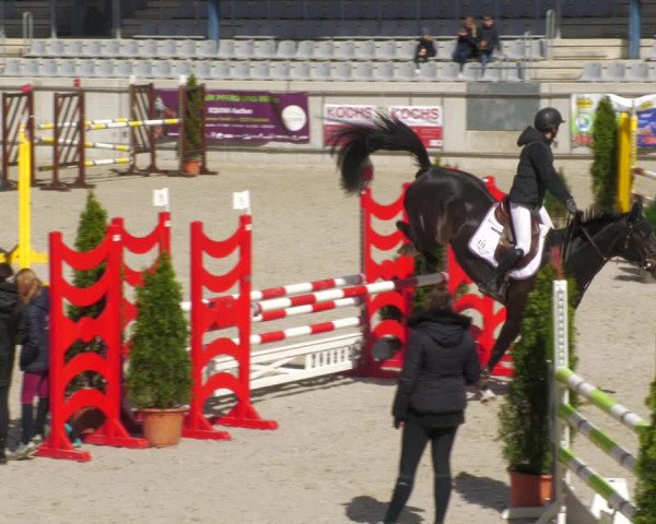Reitturnier Aachen-Soers 2022