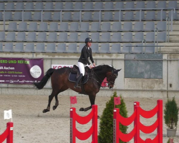 Reitturnier Aachen-Soers 2022