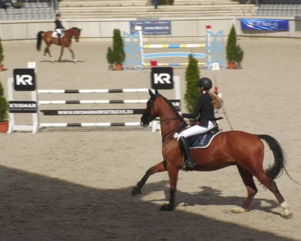 Reitturnier Aachen-Soers 2022