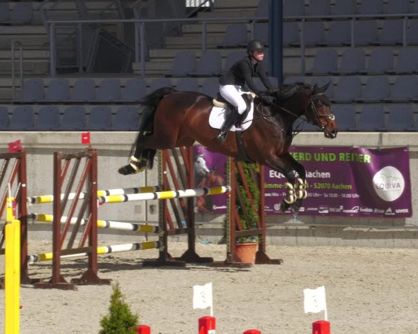 Reitturnier Aachen-Soers 2022