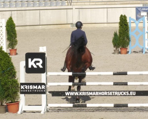 Reitturnier Aachen-Soers 2022