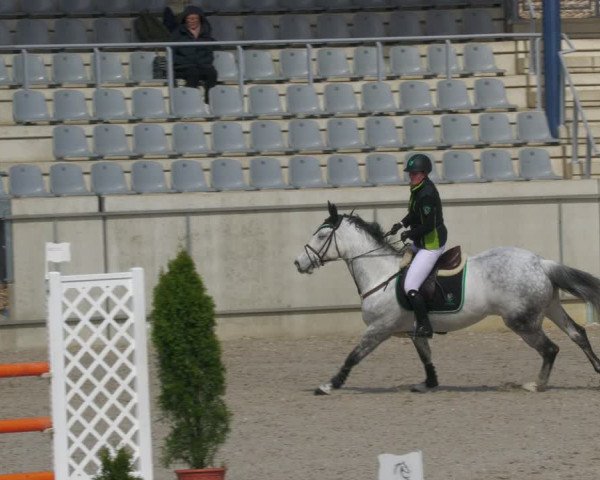 Reitturnier Aachen-Soers 2022