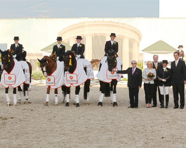 dressage horse Nawaro 6 (Trakehner, 2003, from K2 T)