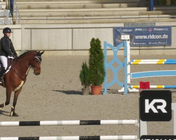 Reitturnier Aachen-Soers 2022