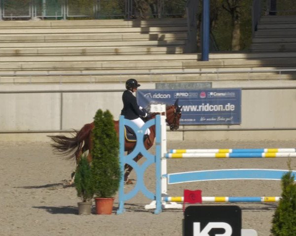 Reitturnier Aachen-Soers 2022