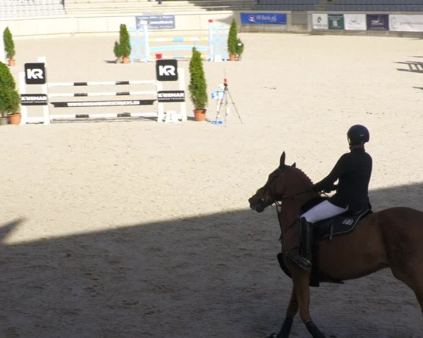 Reitturnier Aachen-Soers 2022