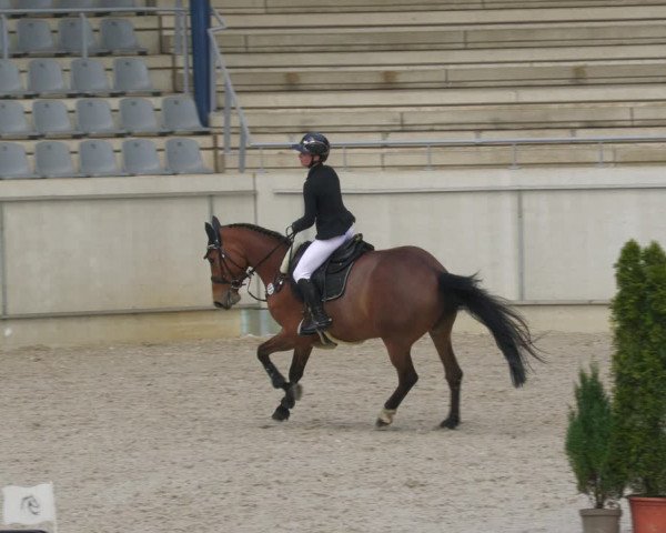 Reitturnier Aachen-Soers 2022