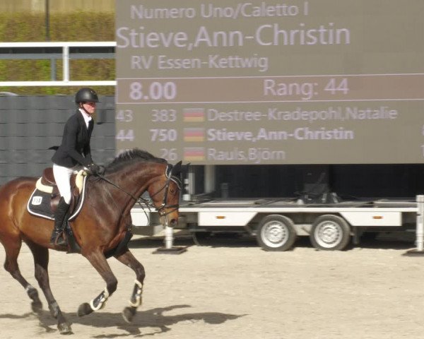 Reitturnier Aachen-Soers 2022
