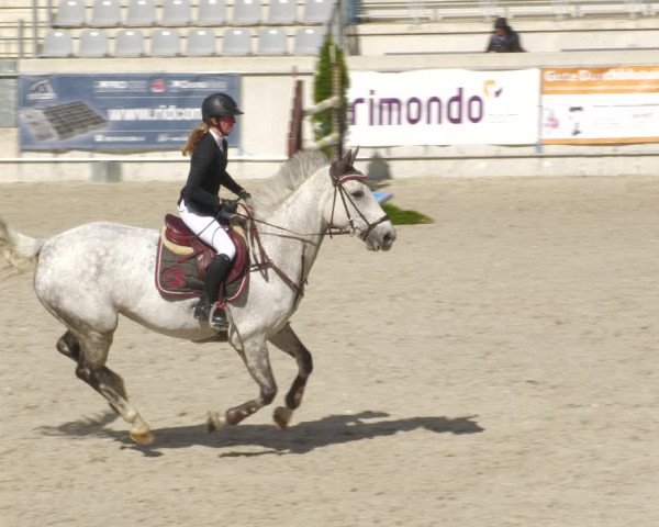Reitturnier Aachen-Soers 2022