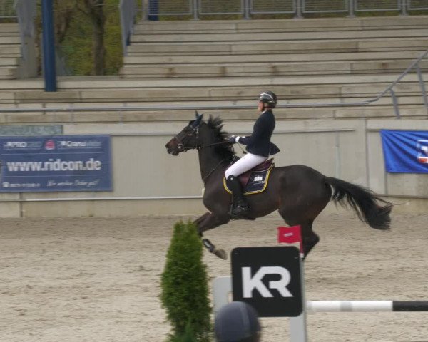 Reitturnier Aachen-Soers 2022