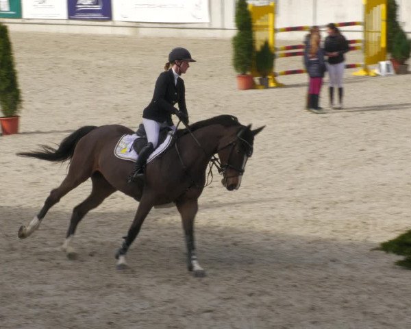 Reitturnier Aachen-Soers 2022