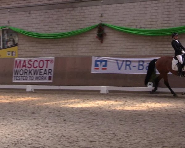 Reitturnier Leverkusen-Rheindorf 2022