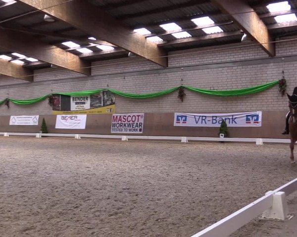Reitturnier Leverkusen-Rheindorf 2022