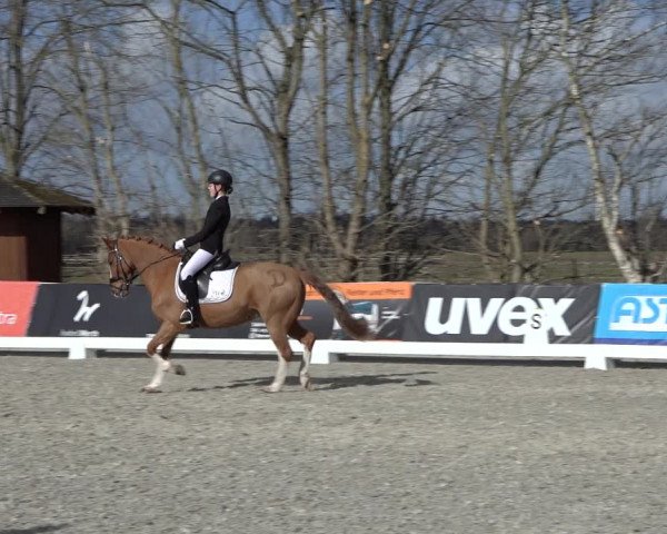 Reitturnier Elmlohe 2022