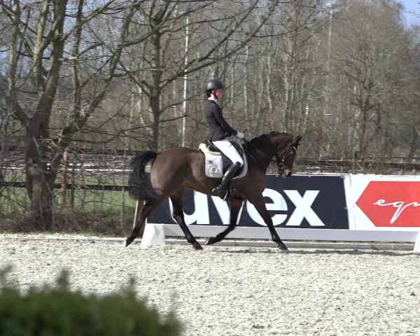 Reitturnier Elmlohe 2022