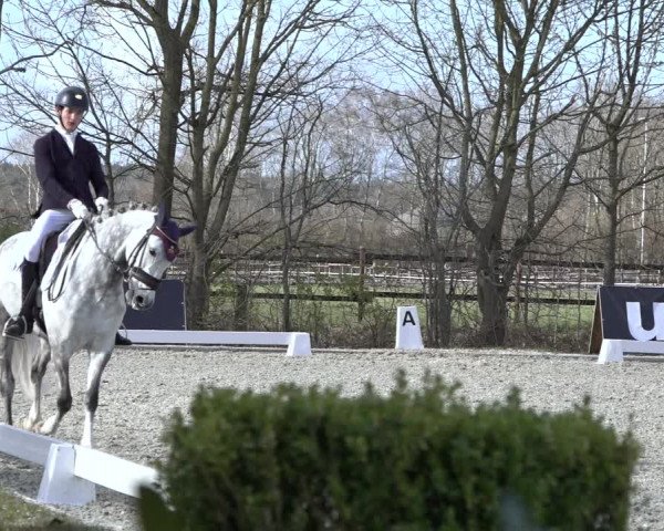 Reitturnier Elmlohe 2022