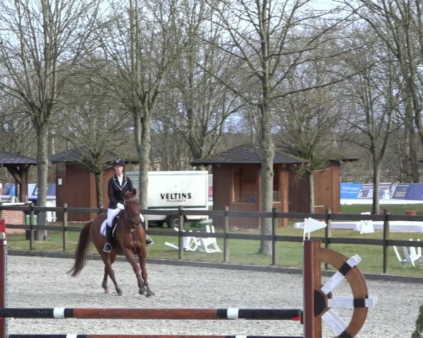 Reitturnier Elmlohe 2022