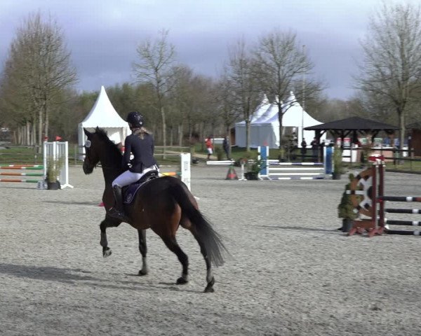 Reitturnier Elmlohe 2022