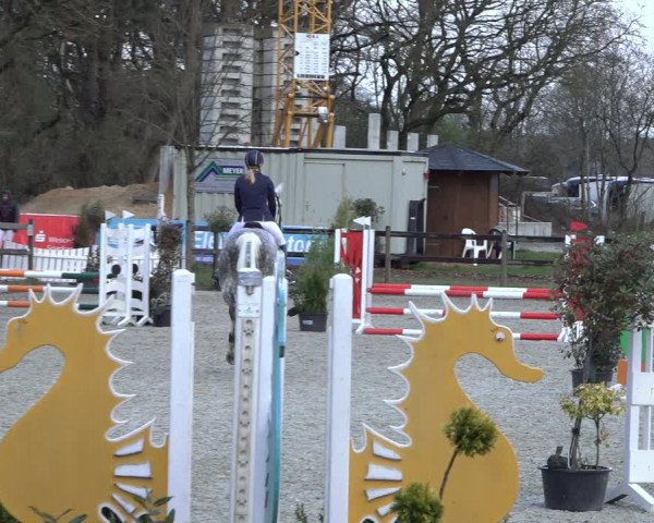 Reitturnier Elmlohe 2022