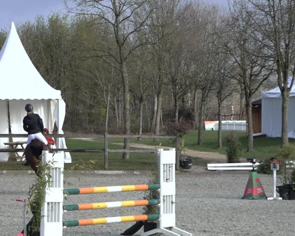 Reitturnier Elmlohe 2022