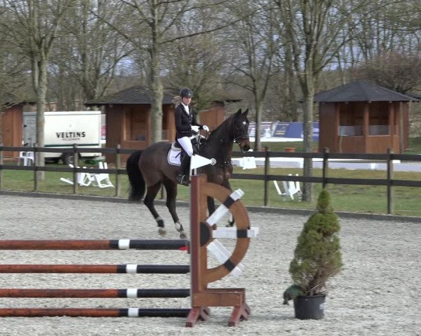 Reitturnier Elmlohe 2022