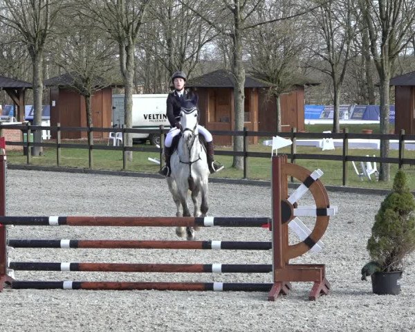 Reitturnier Elmlohe 2022