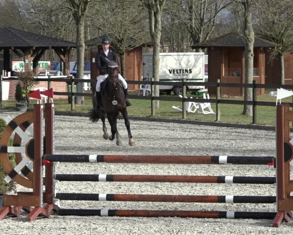 Reitturnier Elmlohe 2022