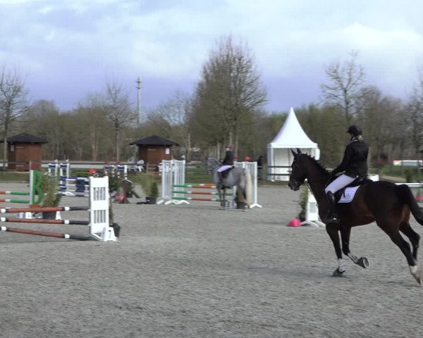 Reitturnier Elmlohe 2022