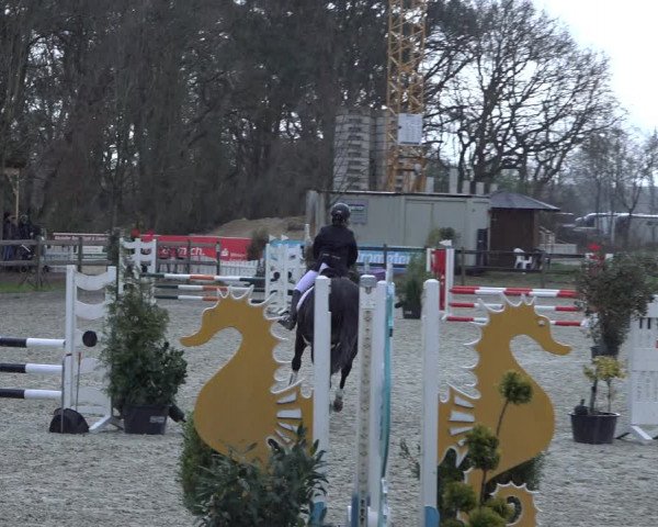Reitturnier Elmlohe 2022