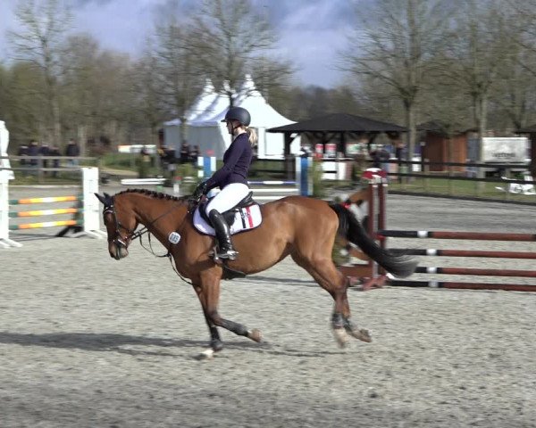 Reitturnier Elmlohe 2022
