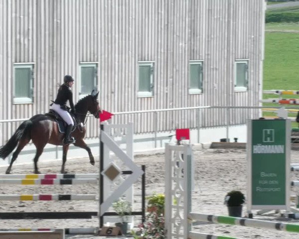 Reitturnier Herrenberg 2022