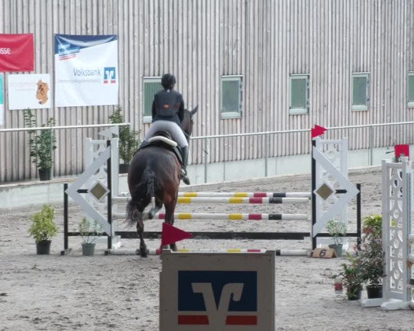 Reitturnier Herrenberg 2022